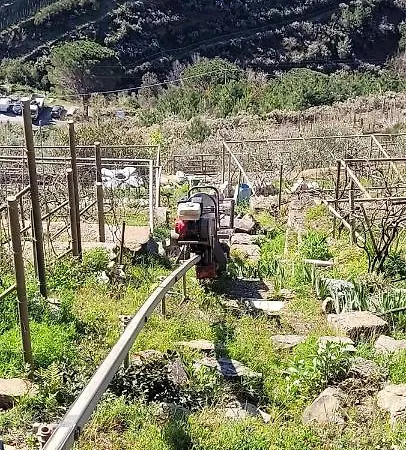 Da Pietro E Sandra Apartmán La Spezia